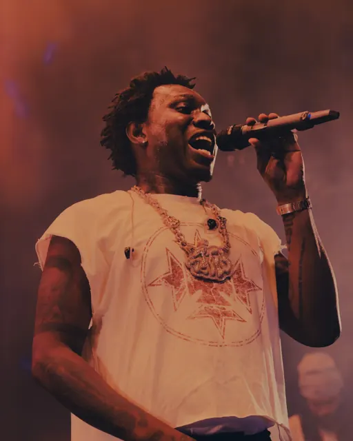 Zlatan Ibile
